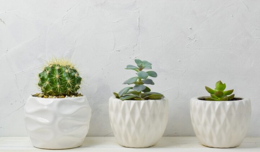 Onderzoek ons assortiment witte plantenbakken